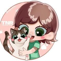 保護猫のお世話🐾ボランティアスタッフ募集

