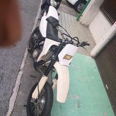 ヤマハ DT200ＷＲの画像