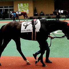 競馬のグルチャ！メンバー増やして盛り上がりましょ。