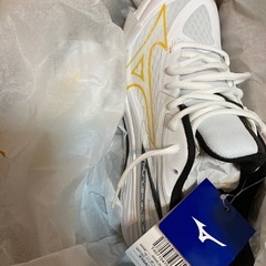 Mizuno Thunder Bladez 26.5cm バレーボールシューズの画像