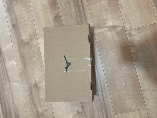Mizuno Thunder Bladez 26.5cm バレーボールシューズ