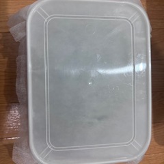 【購入者様決まりました】ヘラクレスヘラクレス3令幼虫ペア①の画像