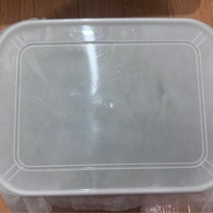 ヘラクレスヘラクレス3令幼虫ペア②の画像
