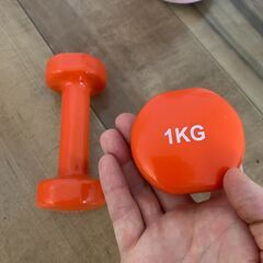 1kgダンベル (2個)の画像