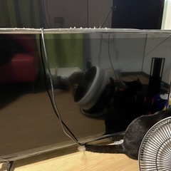 TVの画像
