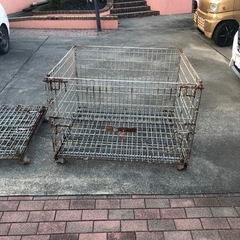最終値下げ　メッシュパレット 大  網パレット の画像