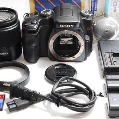 ★夏の輝きを捉える★SONY α 100 レンズキット★の画像