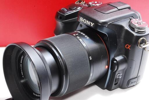 ☆夏の輝きを捉える☆SONY α 100 レンズキット☆