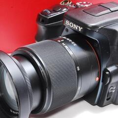 ★夏の輝きを捉える★SONY α 100 レンズキット★の画像