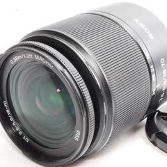★夏の輝きを捉える★SONY α 100 レンズキット★の画像