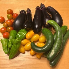 確定！夏野菜　まとめ売り