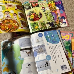 知育本 1年分12冊セットの画像