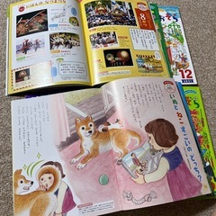 学習絵本1年分12冊セットの画像