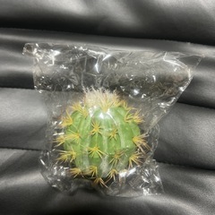 アンテナボール　未使用