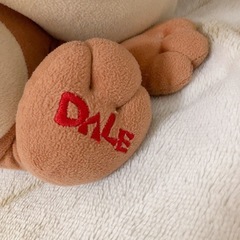 デール ぬいぐるみの画像