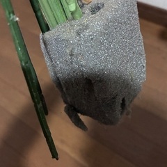 造花（花瓶なし）の画像