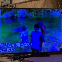 レグザ 50インチ 4K液晶テレビ 50Z670L 4Kチューナー内蔵 外付けHDD 裏番組録画 スマートテレビ (2023年モデル)の画像
