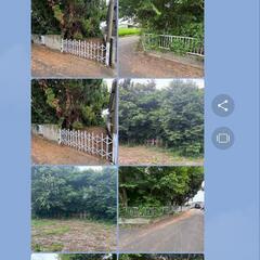 【締切ました】茨城県古河市で伐採処分業者希望