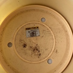 おもし付き　直径30センチ漬物樽の画像
