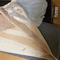 ホットカーペット＆掛け絨毯2枚の画像