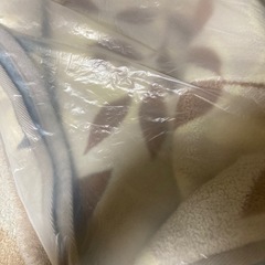 ホットカーペット＆掛け絨毯2枚の画像