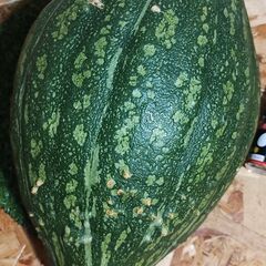 ロロンカボチャ2.3キロ超
