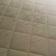 ニトリ　シングル敷き布団の画像