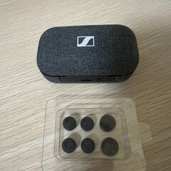 MOMENTUM True Wireless 2の画像