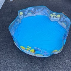 子供用　簡易プール(交渉中)
 の画像