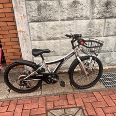 子供自転車　22インチ　宮城県仙台市 関東店舗受取限定】ジュニアシティ 子供自転車 シェルム 22