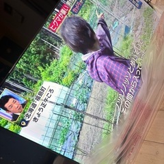 50型テレビ