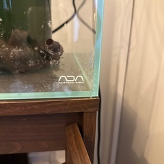 60センチ水槽一式の画像