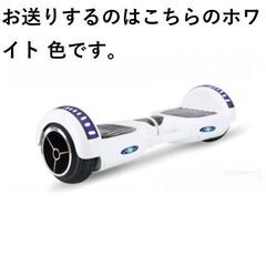 ★電動モビリティ★ セグウェイ 持ち運び 軽量 スクーター プロテクター付の画像