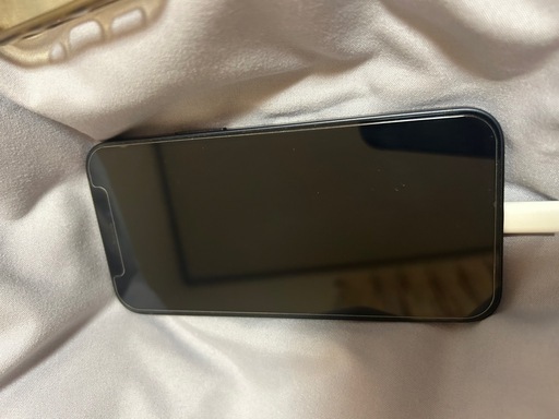 iPhone12 mini 256g 