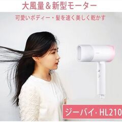 ヘアドライヤー ジーバイ HL210 大風量・速乾マイナスイオンの画像
