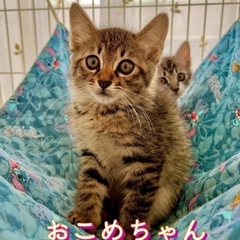 可愛い5兄妹