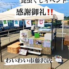 🌈7/13昆虫くじイベント参加✨感謝御礼✨