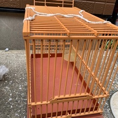 鳥かご
の画像