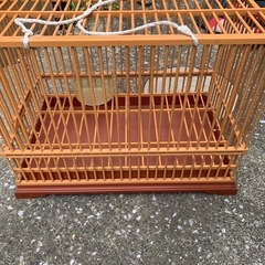 鳥かご
の画像
