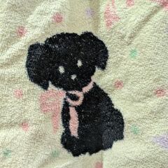 プールタオルの画像