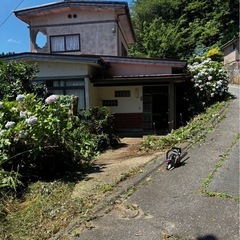 1,000円でどれでも持っ ていき放題！　まだまだあります！早い物勝ちです！の画像