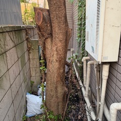 抜根、除草剤撒きのやり方がわかりません