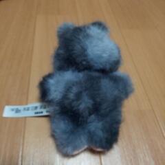 今…  お話し中です。大人気の  らぶぶ  の画像