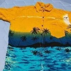 Baliのお土産シャツ　2枚の画像