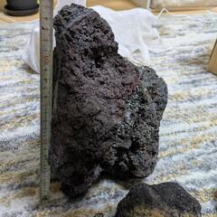 アクアリウム用溶岩石M-XLサイズ10個の画像