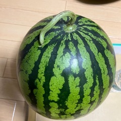 富里すいか 5Lサイズ 約10kg 7/17までの画像