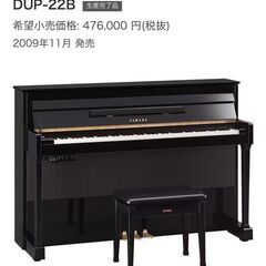 DUP 楽器の中古が安い！激安で譲ります・無料であげます｜ジモティー
