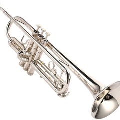 🎶楽器仲間募集✨トランペットやってます&ドラムやりたい