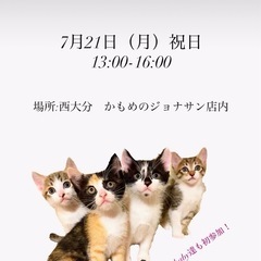 🌸💐譲渡会があります💐🌸