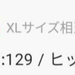【試着・洗濯のみ】キャミワンピース　callautia XLの画像